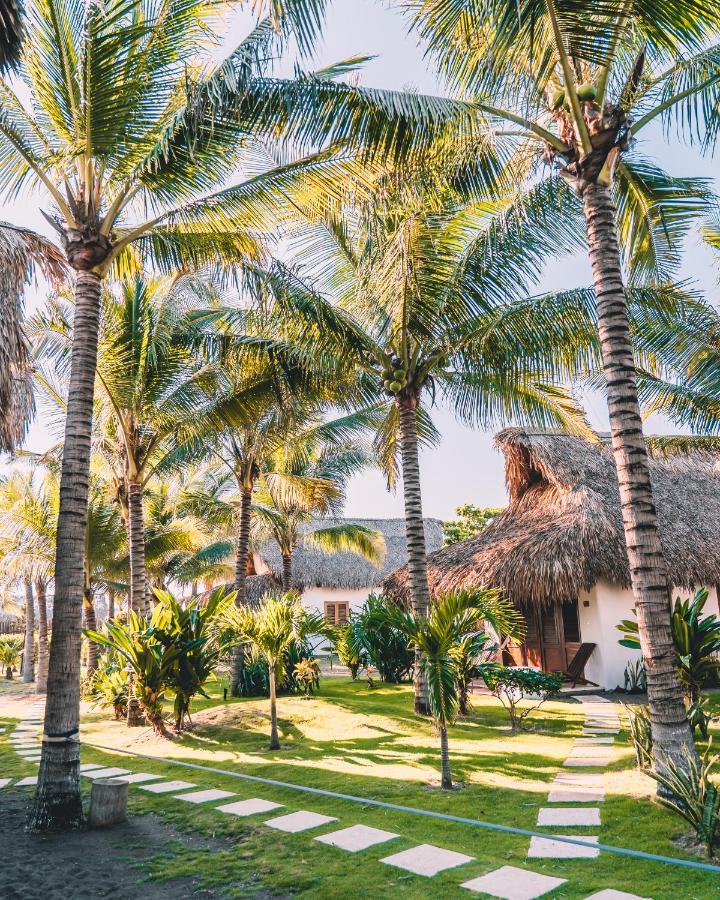 Paredon Surf House Hotel El Paredon Buena Vista Exterior photo