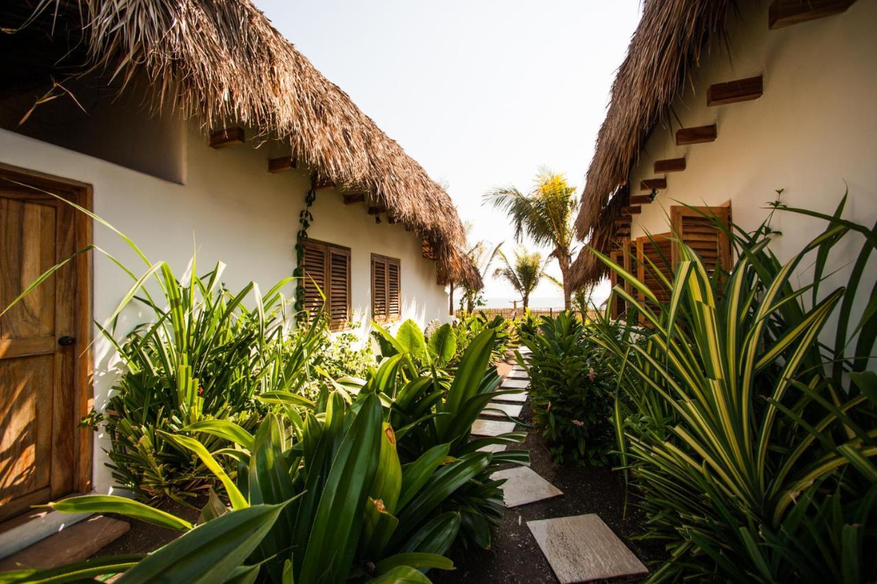 Paredon Surf House Hotel El Paredon Buena Vista Exterior photo
